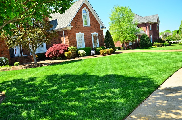 Delaware Landscape Services